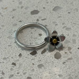 James Avery Charm Ring